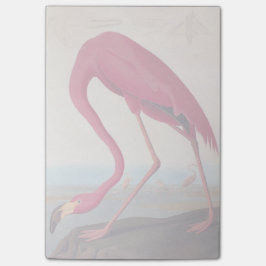 Bloco De Notas Vintage American Pink Flamingo Audubon Bookplate