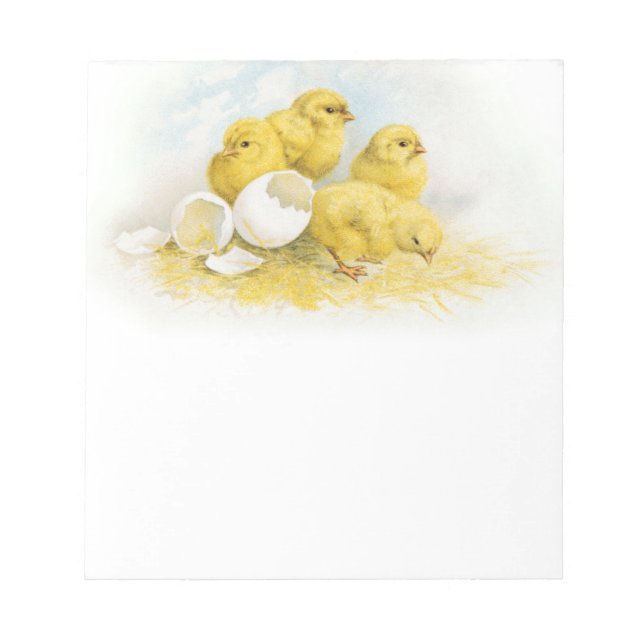Bloco De Notas Vintage Baby Chickens (Frente)