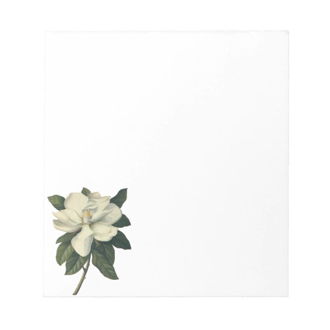 Bloco De Notas Vintage Blooming White Magnolia Blossom Flores (Frente)