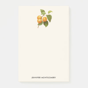Bloco De Notas Vintage Orange Apricots Desenho De Aquarela