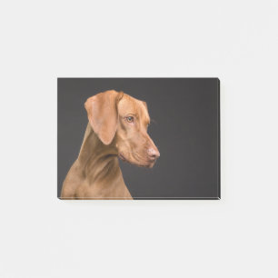 Bloco De Notas Vizsla