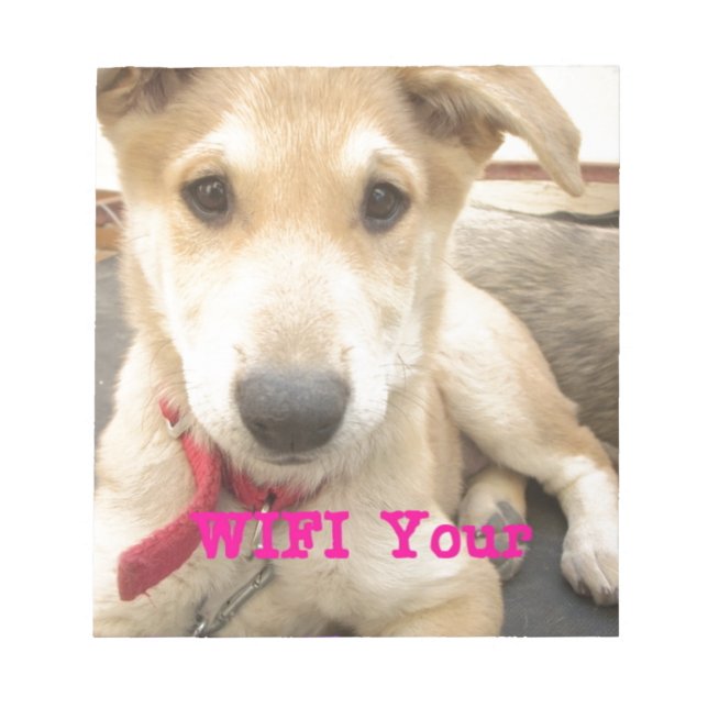 Bloco De Notas Você Deveria Fazer O Seu Amor Todos Os Dias (Frente)