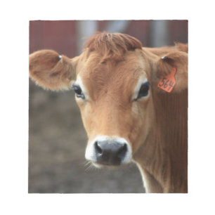 Bloco De Notas Você não acha que eu sou Bonito Jersey Cow?