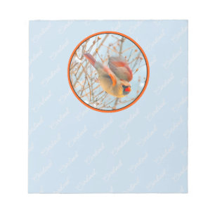 Bloco De Notas Voo Cardinal do norte - Fotografia Original