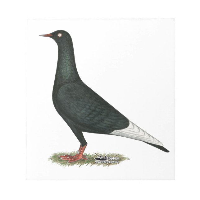 Bloco De Notas Voo Voador Pombo Negro (Frente)