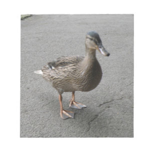 Bloco de notas Waddling engraçado do pato