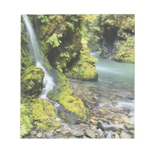 Bloco De Notas Washington, Parque Nacional Olímpico, Sazonal