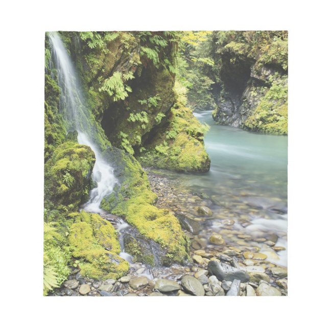 Bloco De Notas Washington, Parque Nacional Olímpico, Sazonal (Frente)