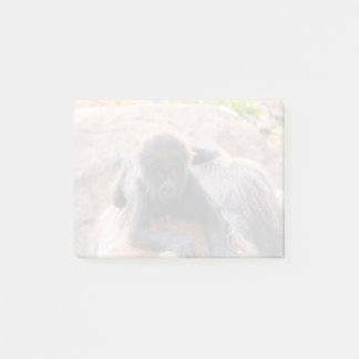 Bloco De Notas Willie B III no Zoo Atlanta (2023)