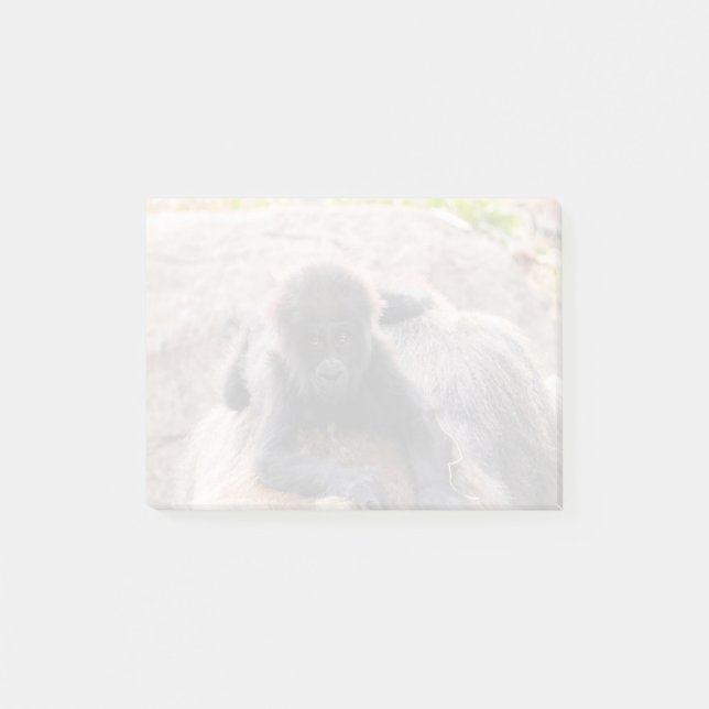 Bloco De Notas Willie B III no Zoo Atlanta (2023) (Frente)