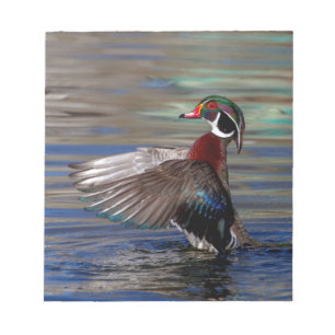 Bloco De Notas Wing Flapping Wood Duck