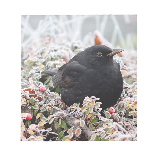 Bloco De Notas Winter Blackbird (Frente)