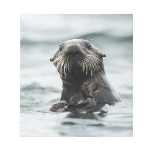 Bloco De Notas Wise Otter