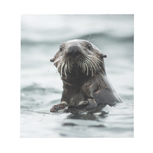 Bloco De Notas Wise Otter (Frente)