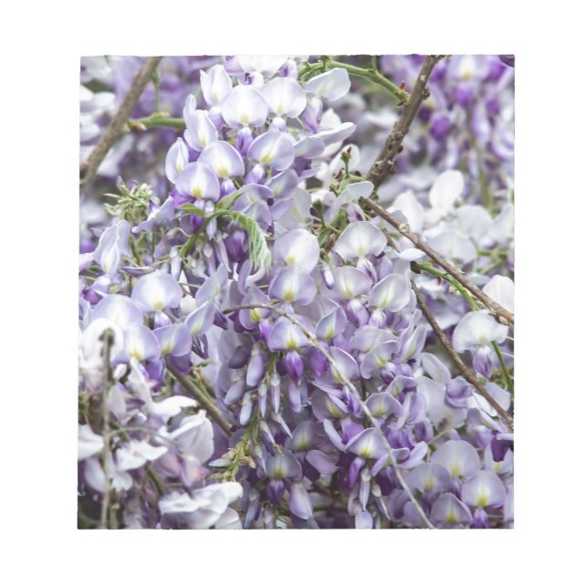 Bloco De Notas Wisteria (Frente)