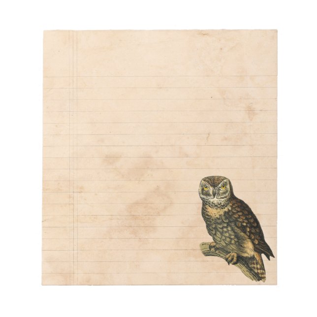 Bloco De Notas Woodland Owl Notepad (Frente)
