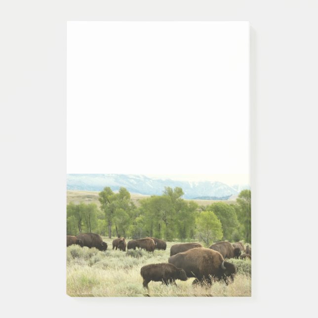 Bloco De Notas Wyoming Bison Nature (Frente)