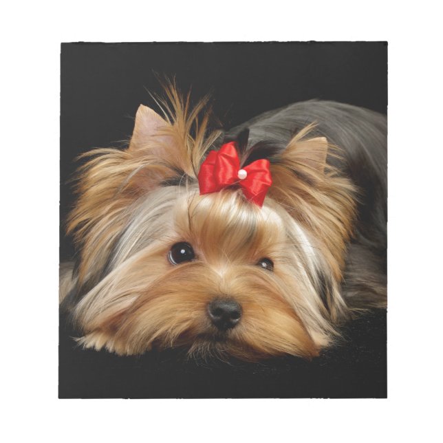 Bloco De Notas Yorkie fofa (Frente)