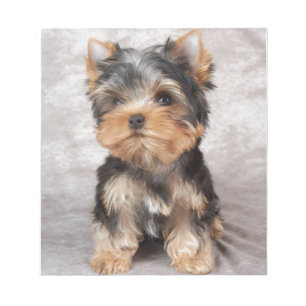 Bloco De Notas Yorkie maravilhoso