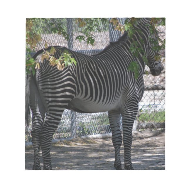 Bloco De Notas Zebra Love (Frente)
