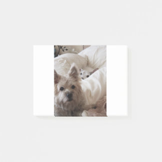 Bloco De Notas Zoe e Yoda