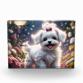 Bloco Fotográfico Memorial de Perda Pet