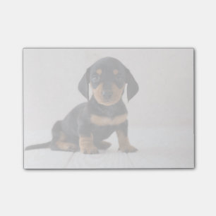 Bloco Post-it Assento diminuto do Dachshund