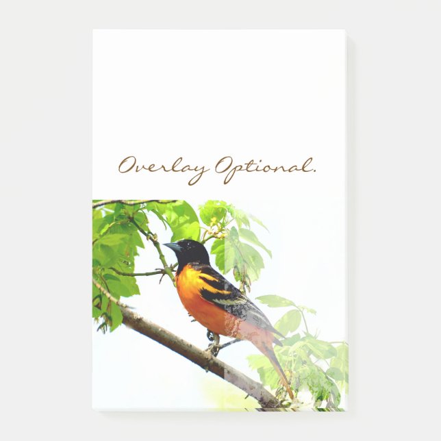 Bloco Post-it Baltimore Oriole 1 (Frente)