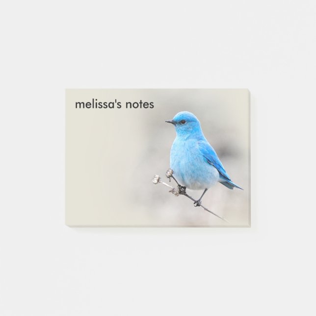 Bloco Post-it Bela Montanha Bluebird (Frente)