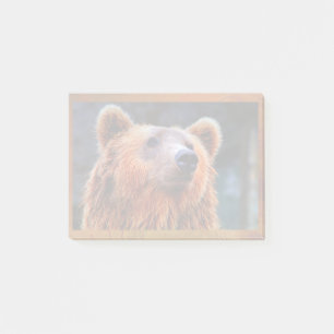 Bloco Post-it Belo Urso Marrom Retrato Wildlife Foto
