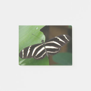Bloco Post-it Borboleta bonito Zebra Longwing Posta