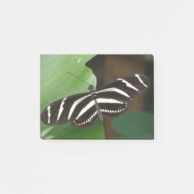 Bloco Post-it Borboleta bonito Zebra Longwing Posta (Frente)