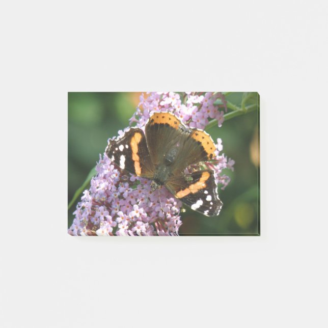 Bloco Post-it Borboleta Vermelha e Posto Buddleia (Frente)