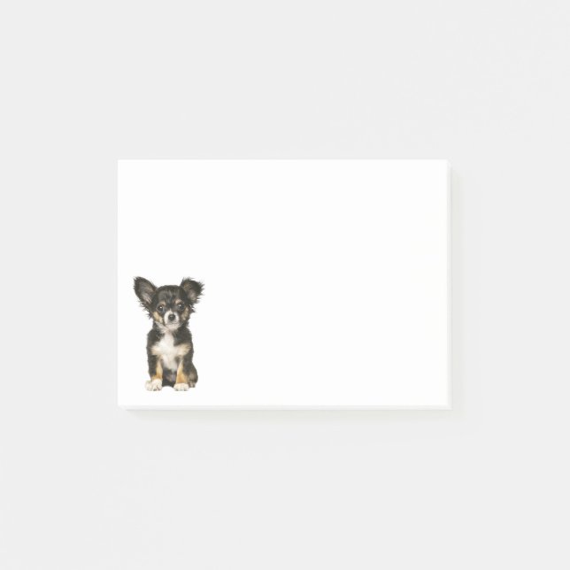 Bloco Post-it Cachorro de Cabelo Longo Chihuahua Posta Notas Aut (Frente)