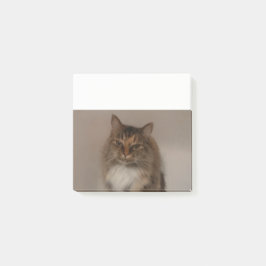 Bloco Post-it Calico Cat Posta as notas