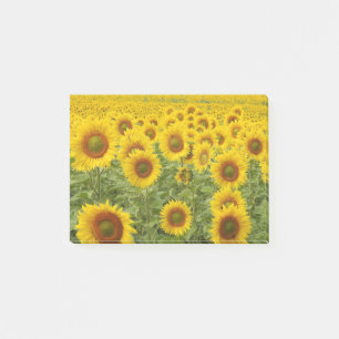 Bloco Post-it Campo de sol