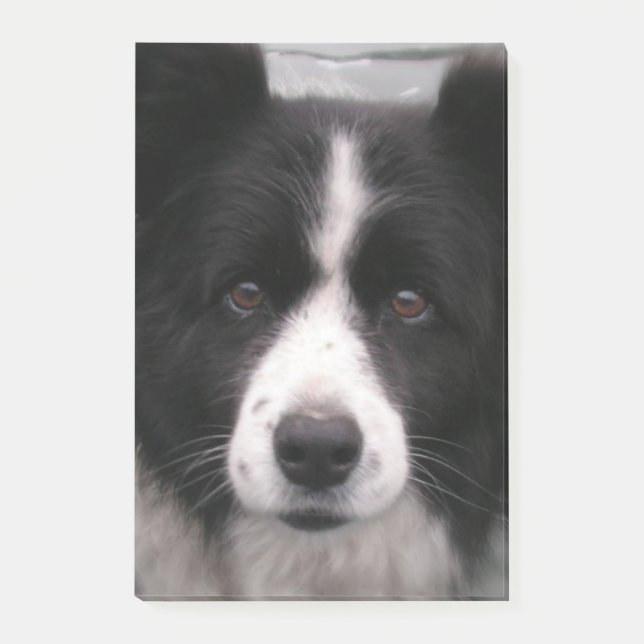 Bloco Post-it Cão de border collie (Frente)