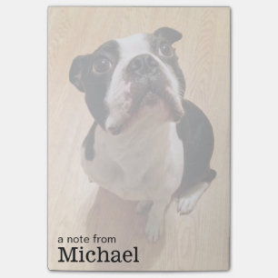 Bloco Post-it Cão de Boston Terrier