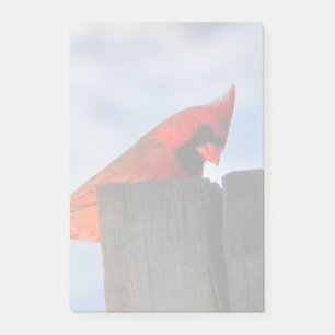 Bloco Post-it Cardinal Vermelho sobre o Stump de Wooden
