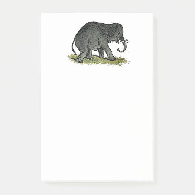 Bloco Post-it Cartoon Elefante Adorável, Amigo do Zoológico Engr (Frente)