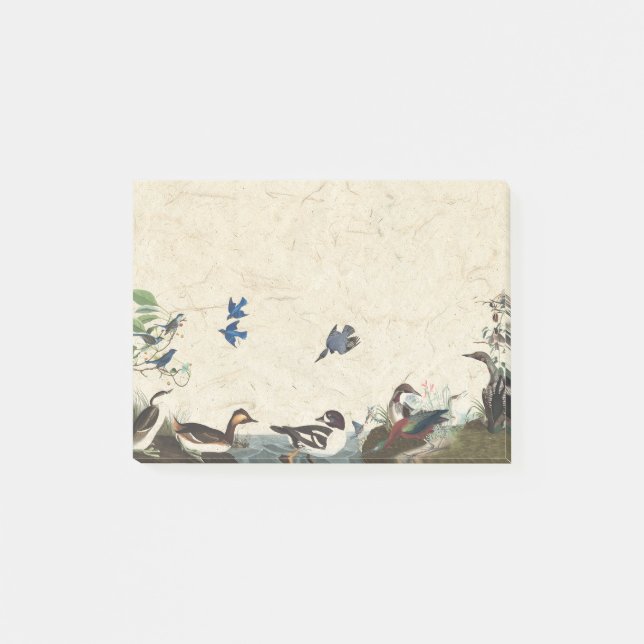 Bloco Post-it Colagem de Audubon de notas de post-it dos animais (Frente)
