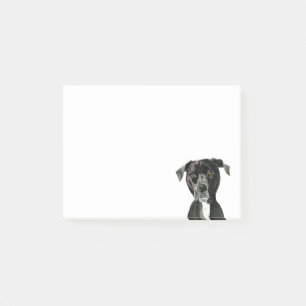 Bloco Post-it "Contemplando" a pintura do cão do pitbull