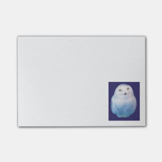 Bloco Post-it Cool Post-it Snowy Owl