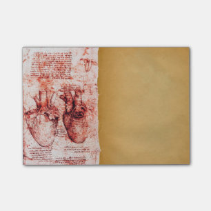 Bloco Post-it Coração E Seus Vasos Sanguíneos Parapergia Médica