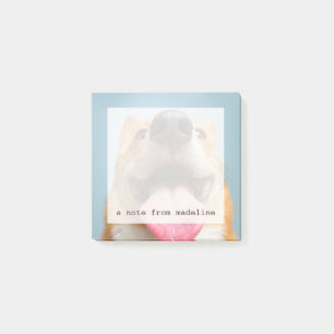 Bloco Post-it Corgi muito feliz das imagens de Getty