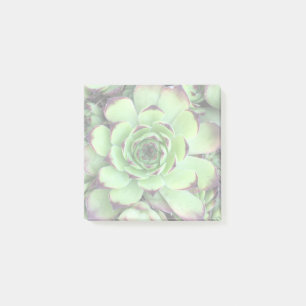 Bloco Post-it Crie sua própria foto iluminada