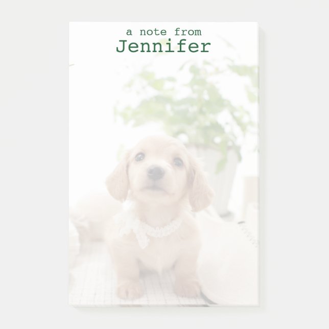 Bloco Post-it Dachshund Miniatura (Frente)