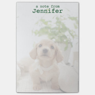 Bloco Post-it Dachshund Miniatura