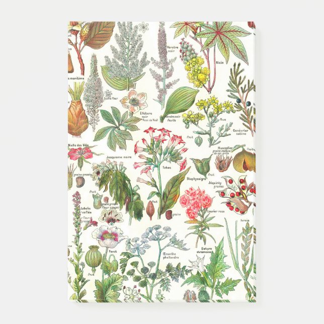 Bloco Post-it Dangereus botânico das plantas das (Frente)