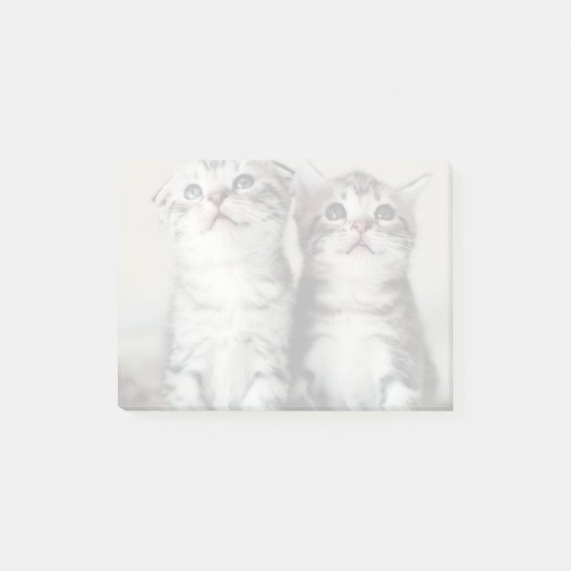 Bloco Post-it Dois gatinhos bonitos (Frente)